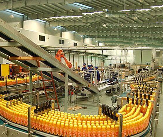 Petua Barisan Pengeluaran Jus Buah-buahan untuk Pilihan Bijak