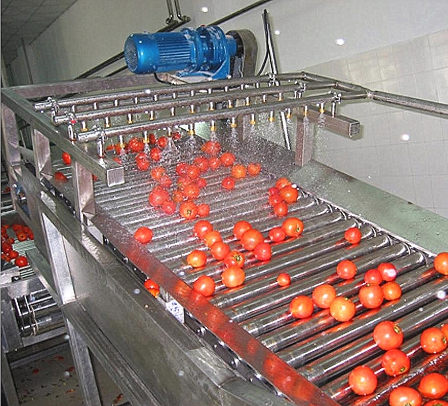 Peralatan Pemprosesan Tomato Industri